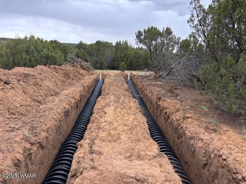 Tiny photo for 96 CR3041, Concho, AZ 85924 (MLS # 258981)