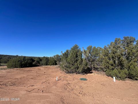 Tiny photo for 96 CR3041, Concho, AZ 85924 (MLS # 258981)