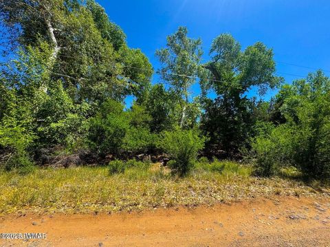 Tiny photo for 4005 E Sycamore Lane, Rimrock, AZ 86335 (MLS # 258632)