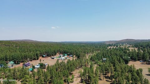 Tiny photo for 540 Rim Drive, Pinedale, AZ 85934 (MLS # 257138)