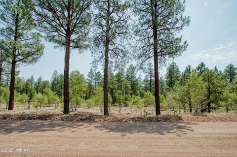Tiny photo for 540 Rim Drive, Pinedale, AZ 85934 (MLS # 257138)