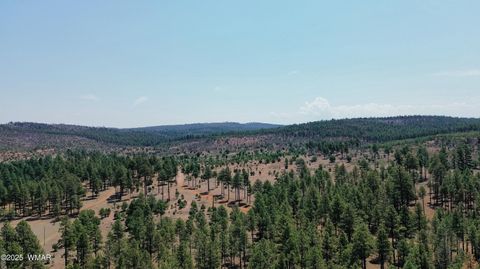 Tiny photo for 540 Rim Drive, Pinedale, AZ 85934 (MLS # 257138)