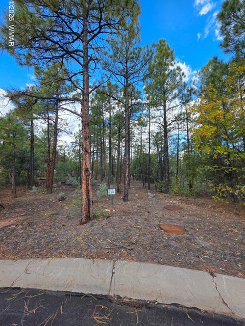 Photo of 140 W Suncrest Court, Show Low, AZ 85901 (MLS # 263670)