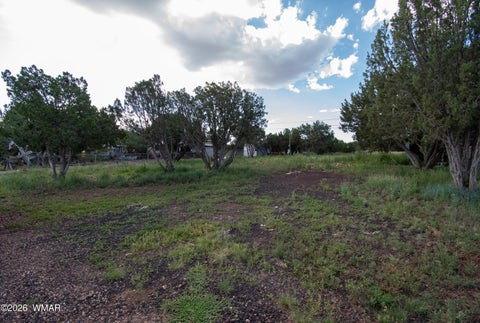 Photo of 8497 Canyon Drive, Show Low, AZ 85901 (MLS # 262903)