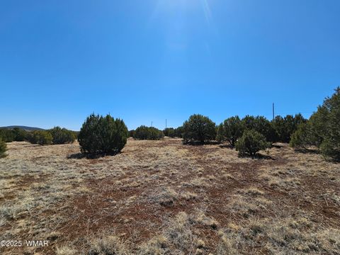 Tiny photo for 105 Co RD Road, Vernon, AZ 85940 (MLS # 255378)