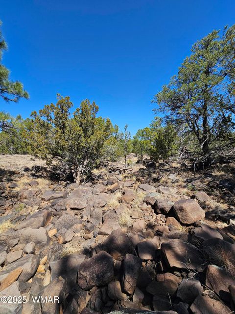 Tiny photo for 105 Co RD Road, Vernon, AZ 85940 (MLS # 255378)
