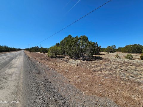 Photo of 105 Co RD Road, Vernon, AZ 85940 (MLS # 255378)