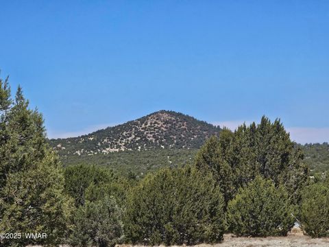 Tiny photo for 105 Co RD Road, Vernon, AZ 85940 (MLS # 255378)