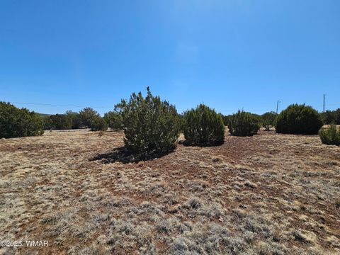Tiny photo for 105 Co RD Road, Vernon, AZ 85940 (MLS # 255378)