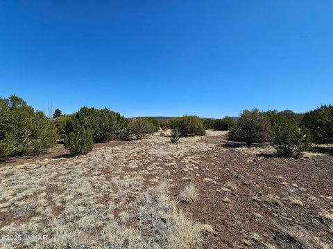 Tiny photo for 105 Co RD Road, Vernon, AZ 85940 (MLS # 255378)
