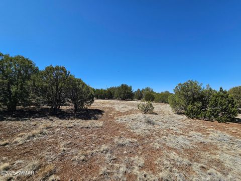 Tiny photo for 105 Co RD Road, Vernon, AZ 85940 (MLS # 255378)