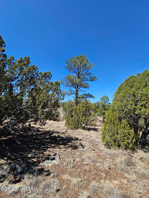 Tiny photo for 105 Co RD Road, Vernon, AZ 85940 (MLS # 255378)