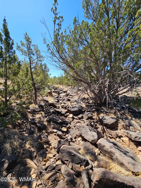 Tiny photo for 105 Co RD Road, Vernon, AZ 85940 (MLS # 255378)