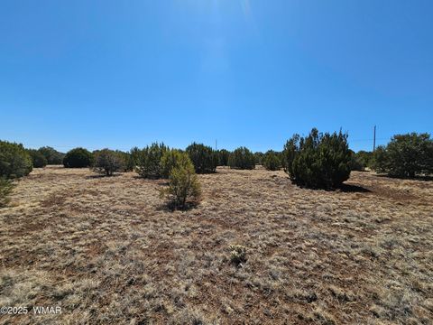 Tiny photo for 105 Co RD Road, Vernon, AZ 85940 (MLS # 255378)