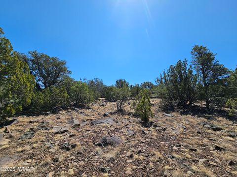 Tiny photo for 105 Co RD Road, Vernon, AZ 85940 (MLS # 255378)