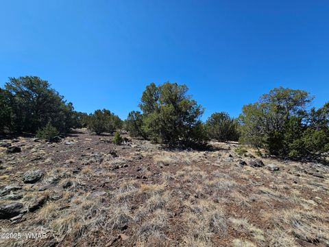 Tiny photo for 105 Co RD Road, Vernon, AZ 85940 (MLS # 255378)