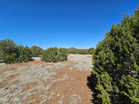 Tiny photo for 105 Co RD Road, Vernon, AZ 85940 (MLS # 255378)