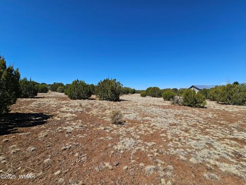 Tiny photo for 105 Co RD Road, Vernon, AZ 85940 (MLS # 255378)