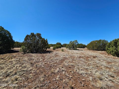 Tiny photo for 105 Co RD Road, Vernon, AZ 85940 (MLS # 255378)