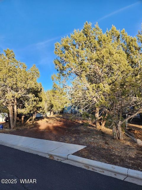 Tiny photo for 961 S 9Th Drive, Show Low, AZ 85901 (MLS # 254167)