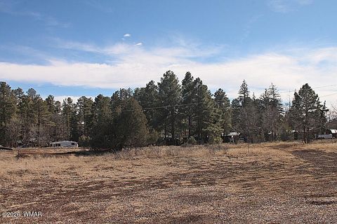Photo of 21230027B W White Mountain Blvd Rd, Lakeside, AZ 85929 (MLS # 259521)