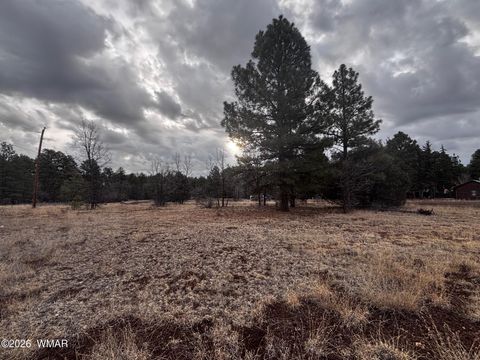 Photo of 21230027B W White Mountain Blvd Rd, Lakeside, AZ 85929 (MLS # 259521)