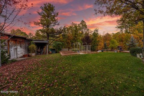 Tiny photo for 578 W Billy Creek Drive, Lakeside, AZ 85929 (MLS # 259374)