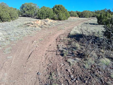 Tiny photo for 22 N 8171, Concho, AZ 85924 (MLS # 258636)