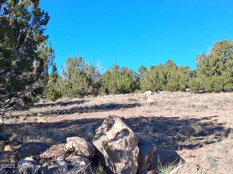 Tiny photo for 22 N 8171, Concho, AZ 85924 (MLS # 258636)