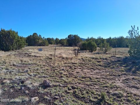 Tiny photo for 22 N 8171, Concho, AZ 85924 (MLS # 258636)