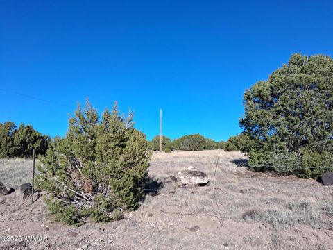 Tiny photo for 22 N 8171, Concho, AZ 85924 (MLS # 258636)