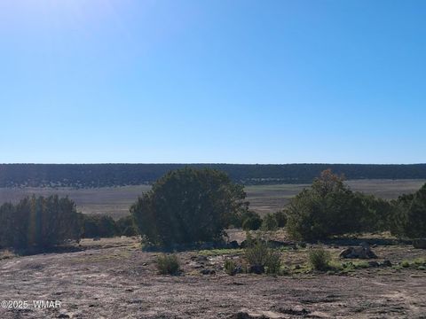 Tiny photo for 22 N 8171, Concho, AZ 85924 (MLS # 258636)