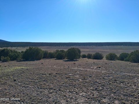 Photo of 22 N 8171, Concho, AZ 85924 (MLS # 258636)
