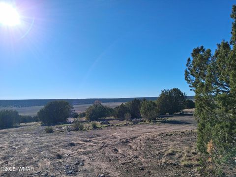 Tiny photo for 22 N 8171, Concho, AZ 85924 (MLS # 258636)