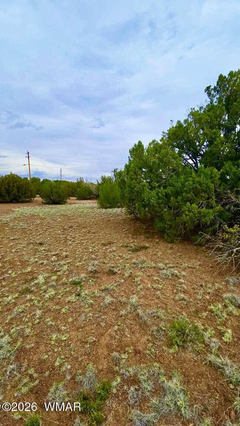 Photo of 8458 Soto Place, Show Low, AZ 85901 (MLS # 260336)