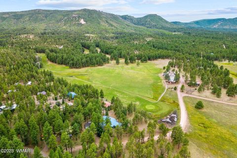 Tiny photo for 52 County Rd 2271, Alpine, AZ 85920 (MLS # 247417)