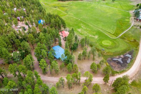Tiny photo for 52 County Rd 2271, Alpine, AZ 85920 (MLS # 247417)