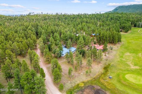 Tiny photo for 52 County Rd 2271, Alpine, AZ 85920 (MLS # 247417)
