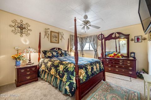 Tiny photo for 52 County Rd 2271, Alpine, AZ 85920 (MLS # 247417)