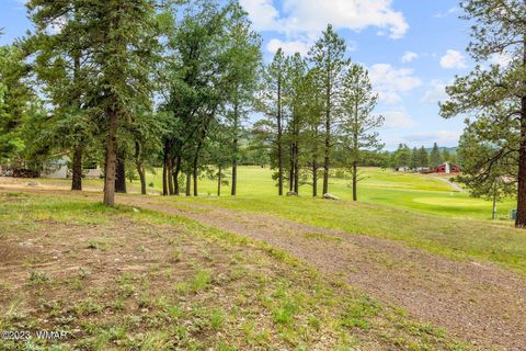 Tiny photo for 52 County Rd 2271, Alpine, AZ 85920 (MLS # 247417)