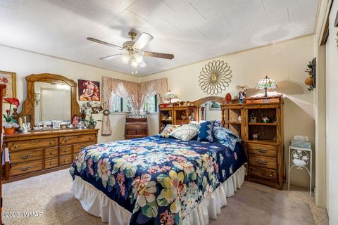 Tiny photo for 52 County Rd 2271, Alpine, AZ 85920 (MLS # 247417)