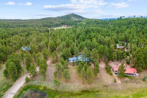 Tiny photo for 52 County Rd 2271, Alpine, AZ 85920 (MLS # 247417)