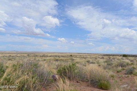 Photo of 8181 Uttecht Trail, Snowflake, AZ 85937 (MLS # 258736)