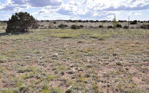 Tiny photo for 9261 Butler Trl Trl, Snowflake, AZ 85937 (MLS # 260600)