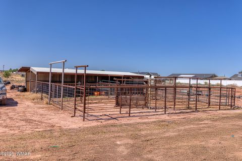 Tiny photo for 929 E Willow Lane, Taylor, AZ 85939 (MLS # 256800)