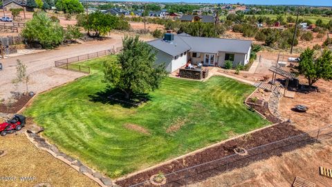 Tiny photo for 929 E Willow Lane, Taylor, AZ 85939 (MLS # 256800)