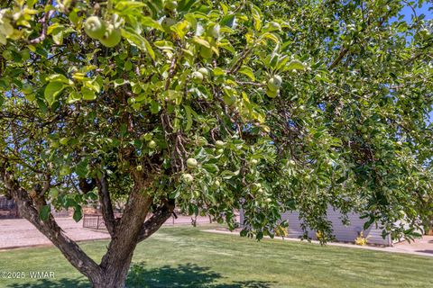 Tiny photo for 929 E Willow Lane, Taylor, AZ 85939 (MLS # 256800)