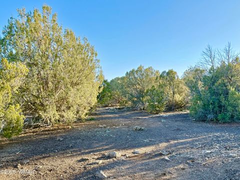 Tiny photo for 8320 Pinon Drive, Show Low, AZ 85901 (MLS # 259506)