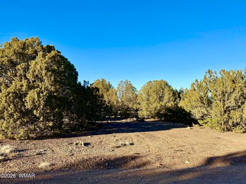 Tiny photo for 8320 Pinon Drive, Show Low, AZ 85901 (MLS # 259506)