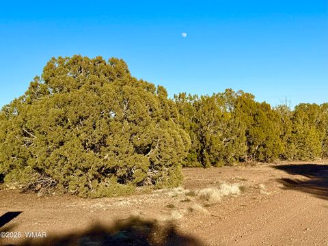 Tiny photo for 8320 Pinon Drive, Show Low, AZ 85901 (MLS # 259506)